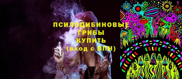 тгк Белокуриха