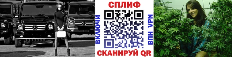 Купить закладки  Жирновск  МАРИХУАНА план 